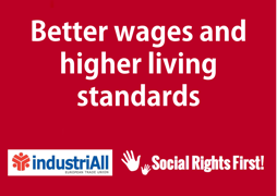 The European Pillar of Social Rights needs to deliver its promises!